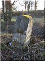 Old Milestone by the A342, Andover Road, Fyfield parish