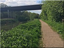 ST6470 : Kennet & Avon Canal Walk by Shaun Ferguson