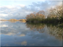 TL3469 : Ferry Lagoon from view point, Fen Drayton Lakes Nature Reserve by Ruth Sharville