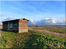 TL3470 : Hide, Fen Drayton Lakes Nature Reserve by Ruth Sharville