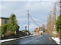 Approaching Morton swing bridge along Morton Lane