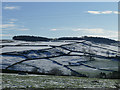 Fields to the north-east of East Morton