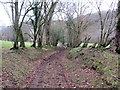 Llwybr yn agosau at heol / Path approaching a road