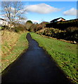 Path from Beechwood Avenue towards Aberdare Park