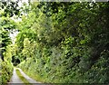 S9369 : Very narrow rural road by N Chadwick