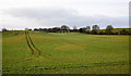 Field on west side of Gipsy Lane