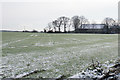 Frosty field by Marklands Farm