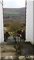 Steps down from Pentwyn Avenue, Tyntetown