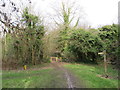 Path into the woods, Banstead Heath