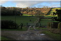 Track leading towards Cerne Park