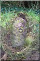 Old Milestone by the B3266, Tramagenna, Camelford parish