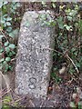 Old Milestone by the A40, east of Pont Cellyn, Llanegwad parish