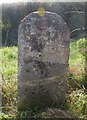 Old Milestone west of Ivy Mill Farm, Edington parish