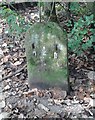 Old Boundary Marker in Healey Dell, Rochdale parish