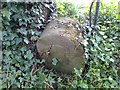 Old Boundary Marker south of Ings Farm, Castley parish