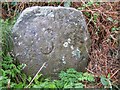 Old Milestone by Bankend Road, southeast of Dumfries