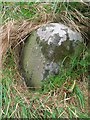 Old Milestone by the B6352, east of Blakelaw, Linton parish