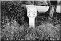 Old Milepost by the A49, Little Pengethley, Hentland Parish