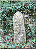 SP1137 : Old Milestone by the A44, Fish Hill, Broadway parish by J Higgins