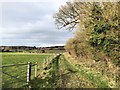 Track beside Church Copse