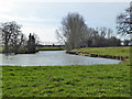 Pond across road from Stacie