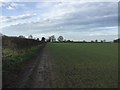 Field footpath near Harbury