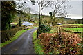 Castleroddy Road, Castleroddy Glebe