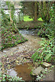 Confluence, Pennard