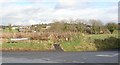 Cloughoge Mountain from the Newtown Road/Ellisholding Road junction