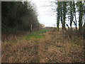 TF9104 : Field entrance beside former railway embankment by David Pashley