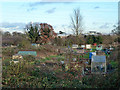 Shortwood North Allotments