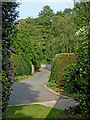 Private road in Copthorne near Audlem, Cheshire