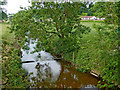 River Weaver from Audlem Bridge in Cheshire