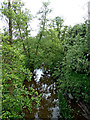 River Weaver from Audlem Bridge in Cheshire