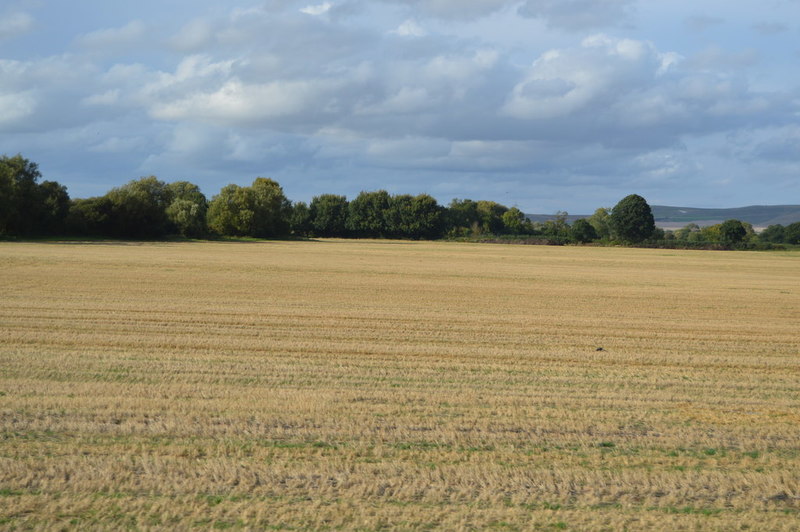 arable-land-n-chadwick-geograph-britain-and-ireland