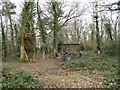 Bird hide and feeders at Llyn Helyg woods