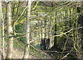 Entrance to a disused railway tunnel, Wheatley, Halifax