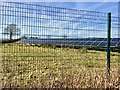 Solar farm