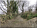 S7936 : Disused Lane by kevin higgins