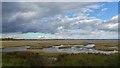 SY9788 : Saltmarsh at Arne Bay, Poole Harbour by Phil Champion