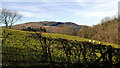 Farmland of Glasdir-isaf