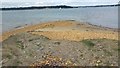 SZ0286 : Shingle beach at Jerry's Point, Poole Harbour by Phil Champion