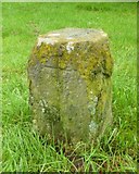 SU4996 : Old Boundary Marker by the River Thames Path, Abingdon parish by Milestone Society