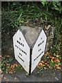 Old Milestone by the A478, Wooden, East Williamston parish