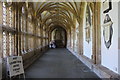 ST5545 : Wells Cathedral  (5) by Chris' Buet