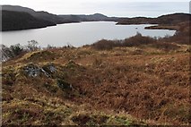 NC1826 : Loch Assynt from Tumore by Alan Reid