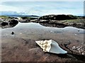 NS1557 : Fintry Bay - Isle of Cumbrae by Raibeart MacAoidh