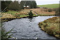 NX3080 : River Cree by Billy McCrorie