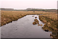 NX3080 : River Cree by Billy McCrorie