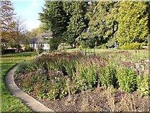 SP0485 : Herbacious border, Birmingham Botanical Gardens by Rudi Winter